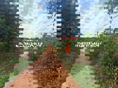 ⭐ 10 x 50 m Đất 2 mặt tiền trước – sau, xã Cư Pơng, huyện Krông Buk