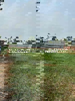 Thanh Lý Lô Đất Chính Chủ Nhà Mua Lâu Giờ Kẹt Bán