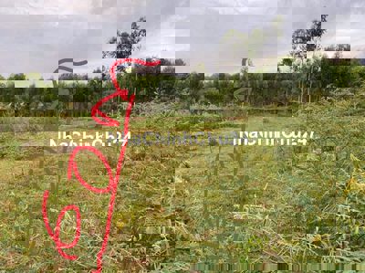 Chính chủ cần bán gấp đất Phan Thiết