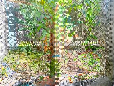 ĐẤT MẶT TIỀN, GẦN VINHOMES, ĐƯỜNG 27, P. LONG THẠNH MỸ, 54M2 - 3,55 TỶ