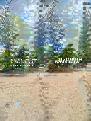 đất sổ riêng thổ cư 100% mặt tiền đường nhựa, cách 768 50m.