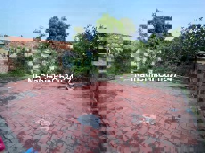 Bán đất xã Tân Minh, Sóc Sơn HN, DT 377m2, mặt tiền 17m, giá hơn 6 tỷ