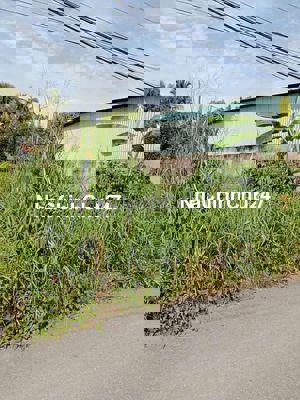 ĐẤT MẶT TIỀN NHỰA 7M THÔNG BÌNH MỸ CỦ CHI