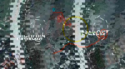 Đất trồng cây hàng năm 1606m2 Chính chủ bán nhanh bán rẻ