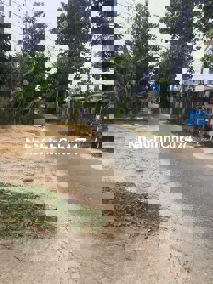 Bán đất mặt tiền Lộ nhựa Xã Phú Thuận