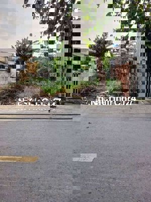 Mặt tiền đường Nguyễn Thị Điệp xã Đông Thạnh