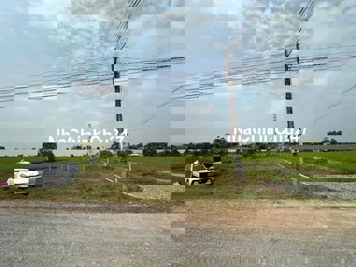 Bán lẻ 04 Thửa Mặt tiền Hậu Nghĩa - Gần Vinhomes. Sổ hồng riêng.