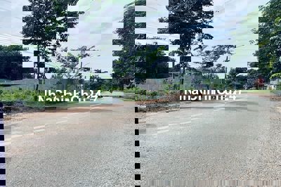 Đất mặt tiền DH-609 Phú An Bến Cát Bình Dương