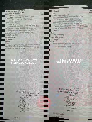 Bán đất mặt tiền đường Lê Thị Đảo, xã Tân Thạnh Đông