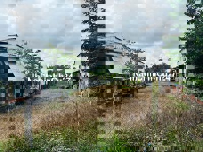 MẶT TIỀN ĐƯỜNG NHỰA BASA - PHƯỚC HIỆP 213,5M2 - GIÁ 630TR- SỔ RIÊNG