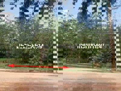 Chính chủ cần bán gấp 1200 m2 đất có sẵn 100 m2 thổ cư tại Bình Dương