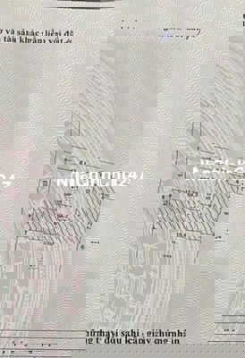 🏡 Chính chủ bán mảnh đất đẹp tại Dương Nội – Hà Đông, 59.3m² – Giá chỉ