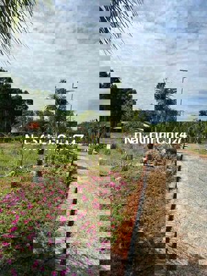 đất mặt tiền xã minh thạnh 1300m2 có giá 980tr