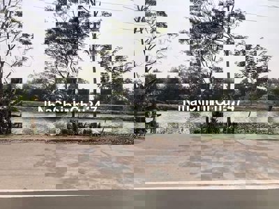 Bán 2750m2 đất mặt sông Vàm Cỏ Tây, Thạnh Hoá, Long An, đường nhựa ôtô