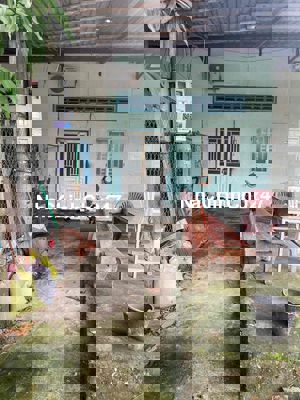 kẹt tiền cần bán nhà chính chủ ,khong qua môi giới,