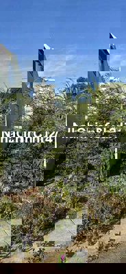 Chính chủ thiện chí bán nền 119m2 tại Long Xuyên, mặt tiền đẹp SHR.