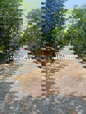 chủ gởi bán lô đất đẹp tân hạnh hoà Phước