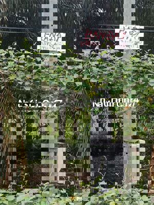 Bán 2 Nền Thổ Cư