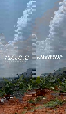 Đất gần chợ, trường học, khu dân cư đông đúc – tiện ích đầy đủ!