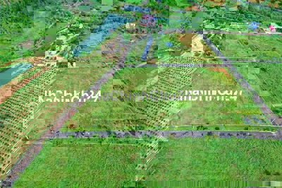 Đất nền ngay nút giao cao tốc, full thổ cư. View rừng thông siêu đẹp.