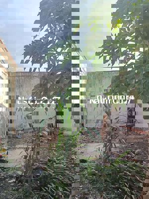 ĐẤT THỔ CƯ ,VỊ TRÍ ĐẸP, GIẤY PHÉP XÂY DỰNG!