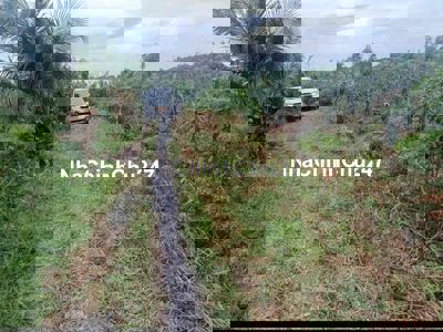 chủ ngộp , đất 451m2 , giá bán : 750 triệu