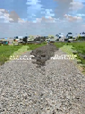 Cần bán đất thổ cư và đất vườn