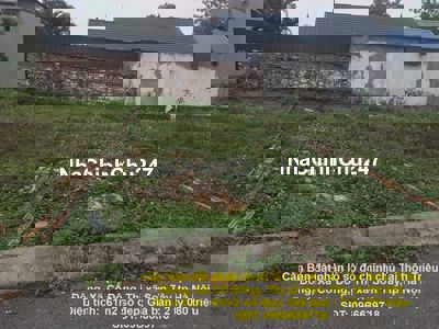 Đất sổ đỏ chính chủ thôn Triều Đông,Xã Cổ Đông,Thị xã Sơn Tây,Hà Nội