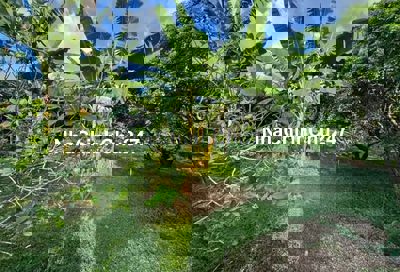 BÁN NHÀ CHO CHỦ ĐANG KẸT TIỀN