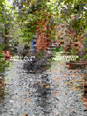 CHÍNH CHỦ BÁN ĐẤT FULL THỔ 91m2 - KV 5, TT HIỆP HOÀ