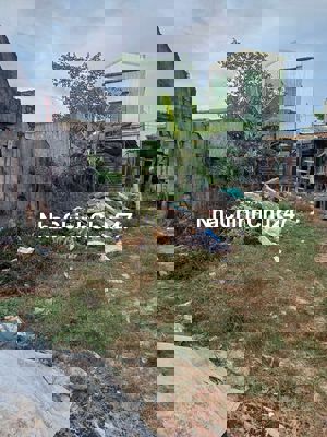 Chính chủ cần bán đất Trần Tấn