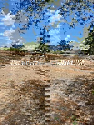 Chính chủ  Bán Đất Chợ Gạo, Tiền Giang Diện Tích Lớn, Giá Tốt.