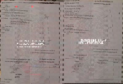 Bán gấp 2400m2 đất cây lâu năm chính chủ xã An Nhơn, huyện Châu Thành