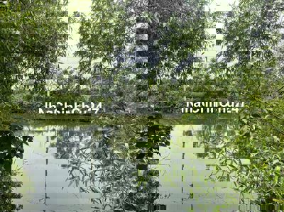 CHÍNH CHỦ CẦN BÁN GẤP LÔ ĐẤT VỊ TRÍ ĐẸP BÁM MẶT SÔNG HÒA BÌNH