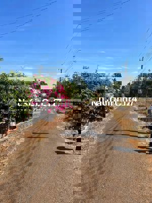 Đi di cư nước ngoài theo con bán 4 sào đất đường nhựa, giá 150tr