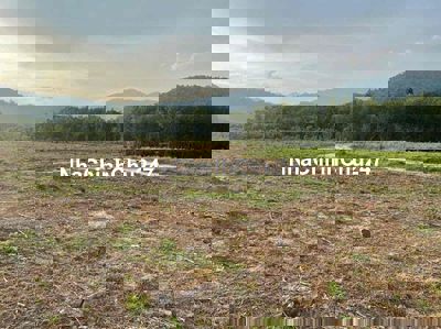 Bán 658m2 sổ đỏ tại Khánh Vĩnh 135 triệu