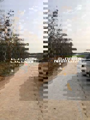 11 mẫu cao su đường nhựa đang cạo. Chỉ 1 tỷ 200 triêu 1 mẫu. Ngang590m