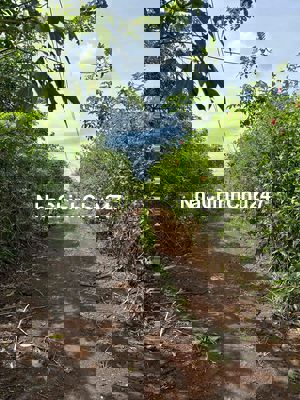 đất vườn bảo bình