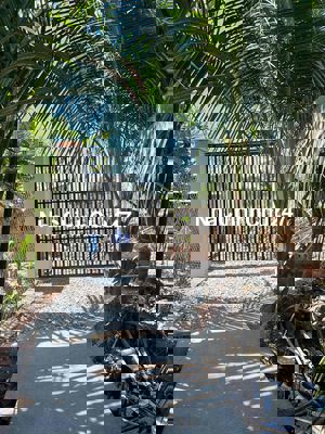 Khu vườn 500m, gần khu Bệnh viện xã Tân Kiên