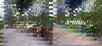 Đất mé sông giá rẻ