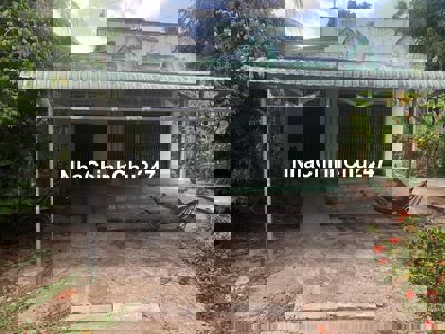 BÁN HƠN 10.000 m2 ĐẤT LÚA - NGUYỄN VĂN THẢNH - BT VĨNH LONG - 250tr/ C