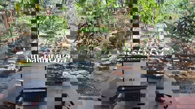 bán đất hẻm xe tải 5 tấn