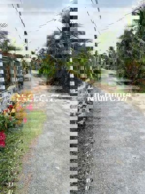 Bán 4676 mét vuông Mỹ Tịnh An huyện Chợ Gạo Tiền Giang