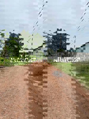 3754m2 đất trồng cây Thạnh Xuân 52 vào đường thông 6m