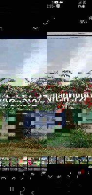 BÁN ĐẤT 216m2 đường Huỳnh Minh Mương, Tân Thạnh Đông, Củ Chi, HCM