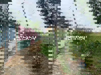 9200m2 đất thổ vườn, đường liên ấp 3-4