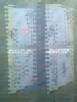 Cần bán gấp miếng đất đường xã Phước Thạnh huyện Củ Chi 10*60m