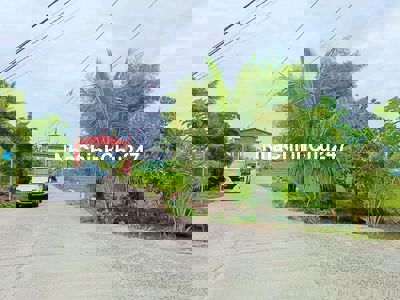 Đất trồng cây đường 6m Xã Hòa Phong