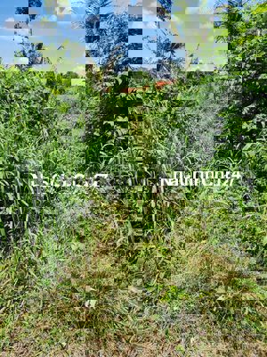 Chính chủ cần bán lô đất xã Phạm Văn Cội.