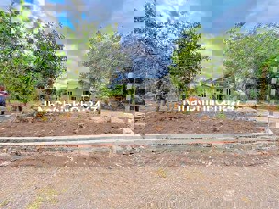 Bán vườn giá rẻ ngay trung tâm